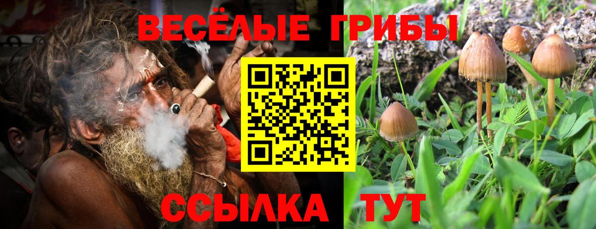 Псилоцибиновые грибы Psilocybine cubensis  купить закладку  Калуга  Вход с VPN 